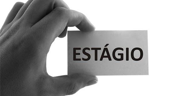 Crédito da foto: Divulgação