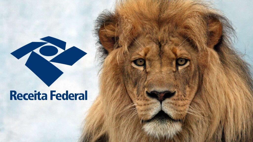 Crédito da foto: Divulgação