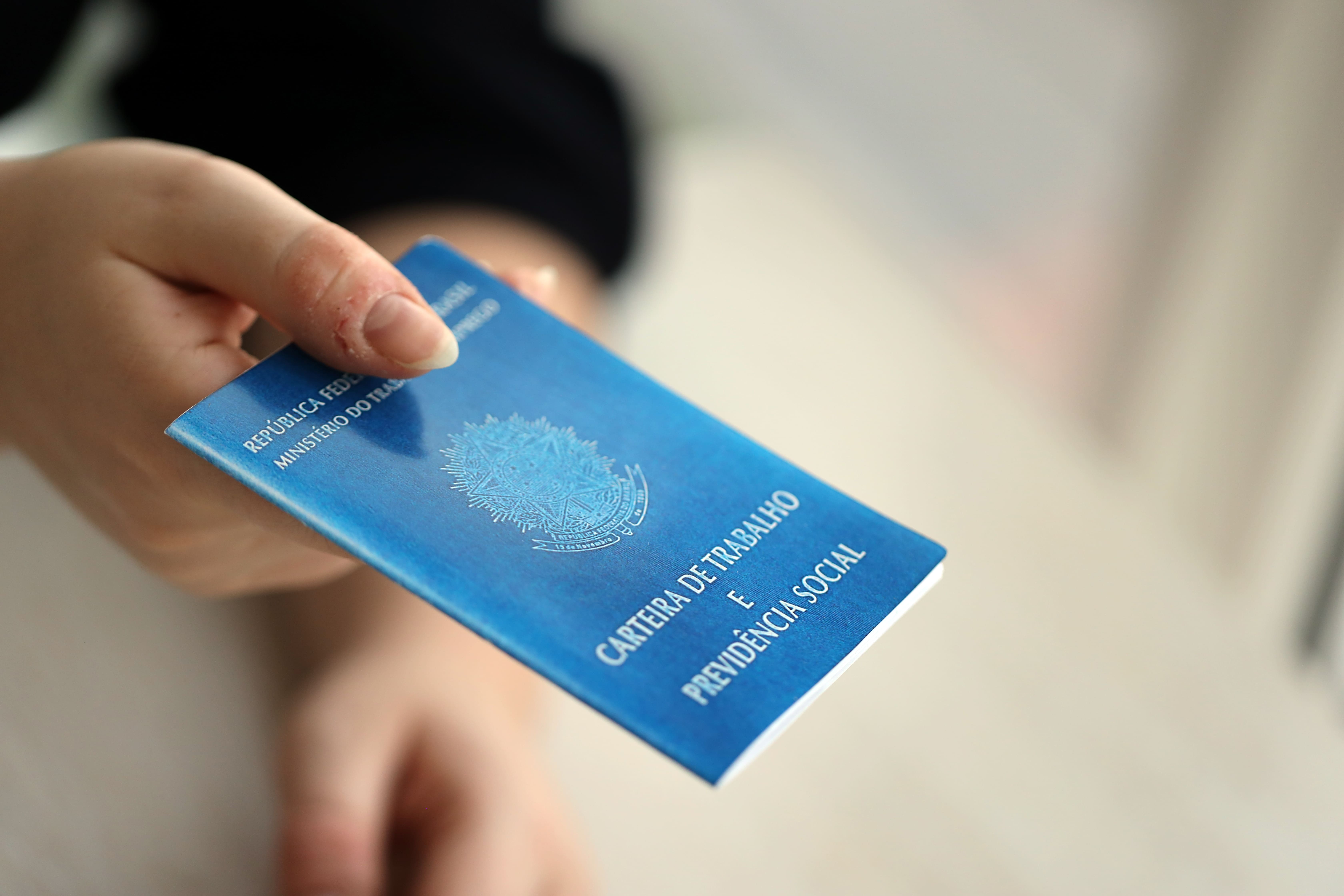 Crédito da foto: Divulgação