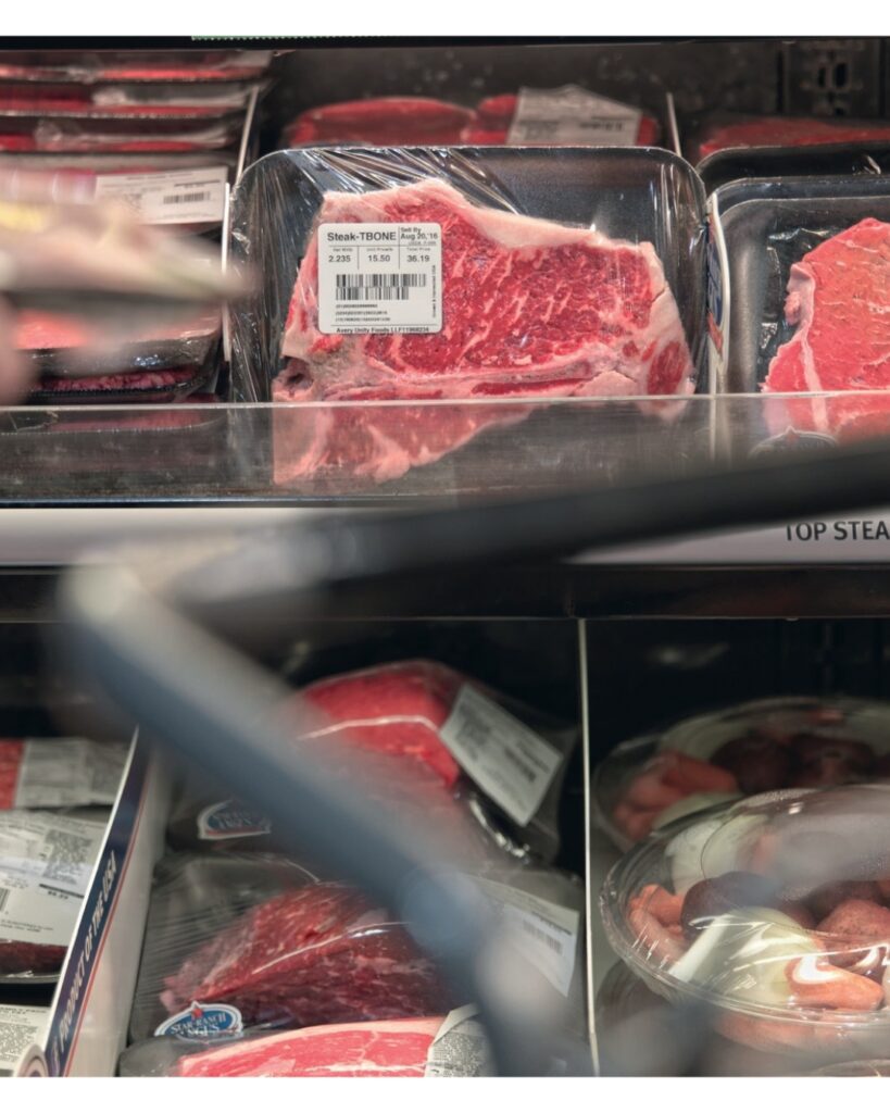 Créditos da foto: Divulgação