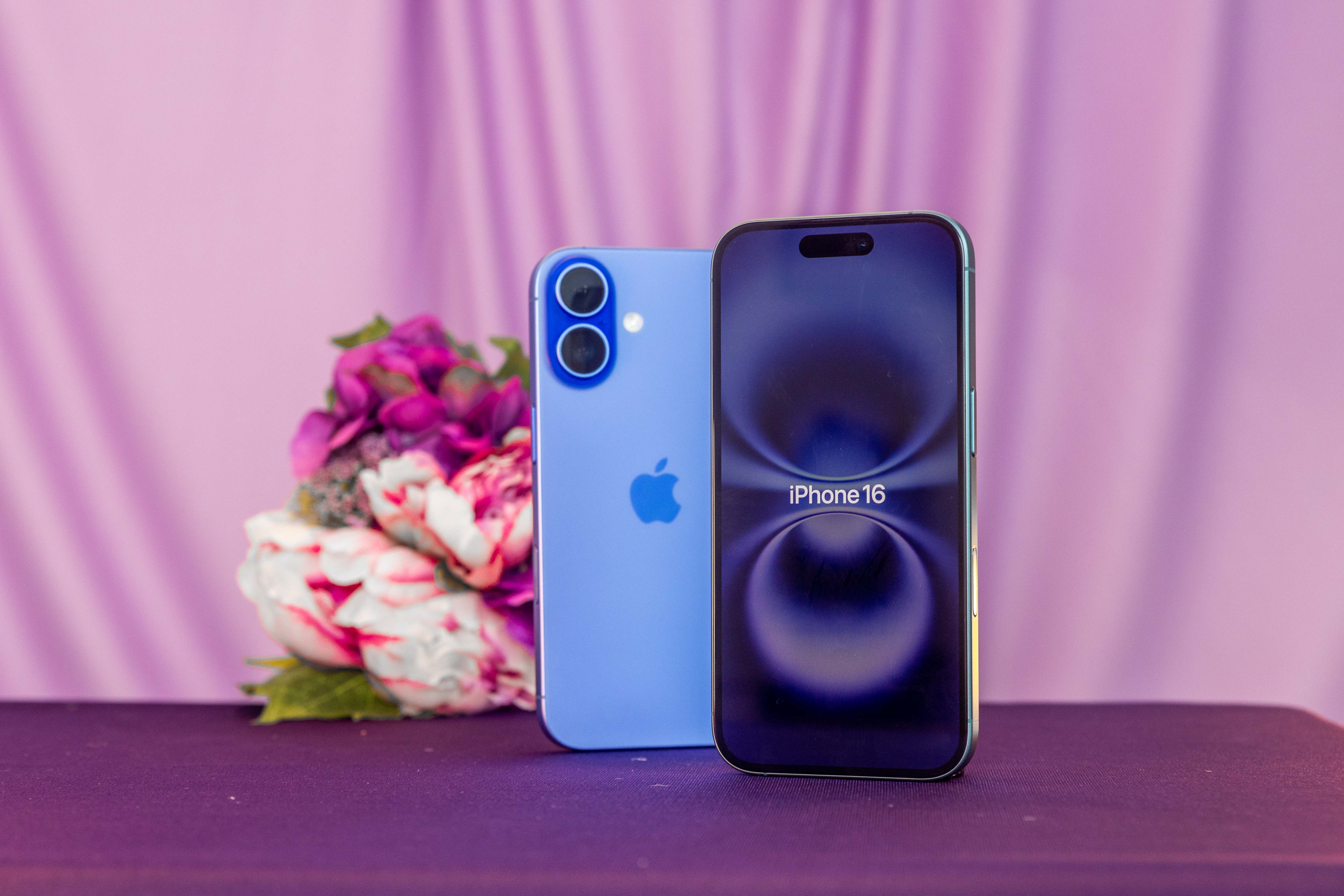 Créditos da foto: Divulgação