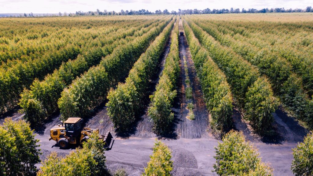 Créditos da foto: Divulgação