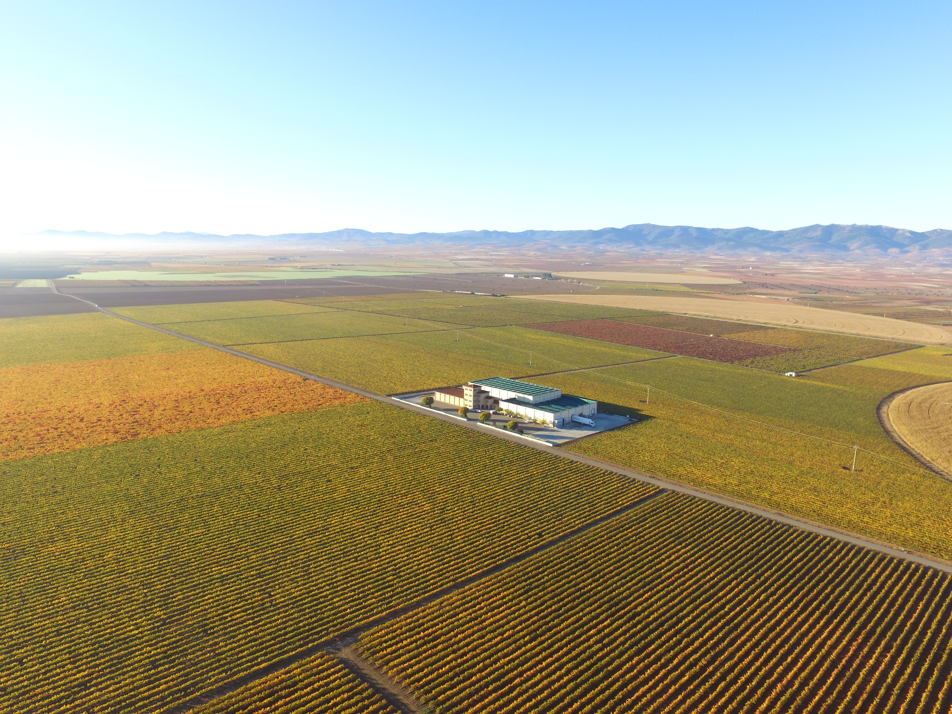 Crédito da foto: Divulgação