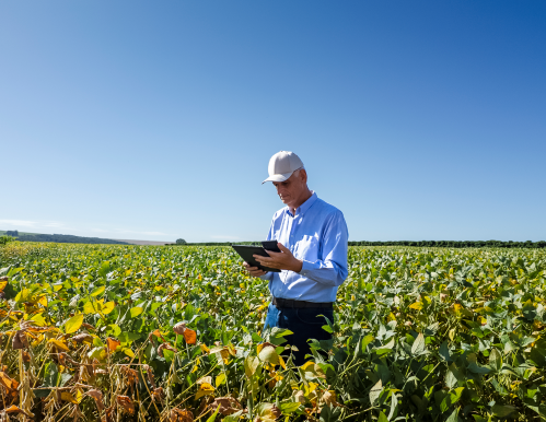 Créditos da foto: Divulgação