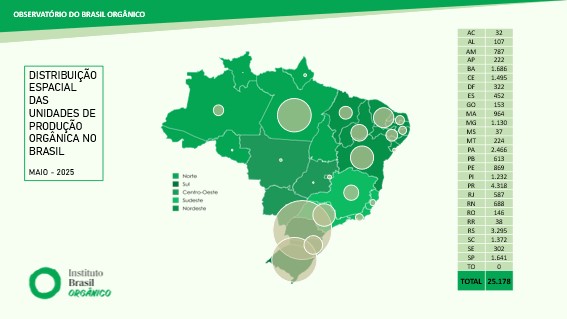 Crédito da foto: Divulgação