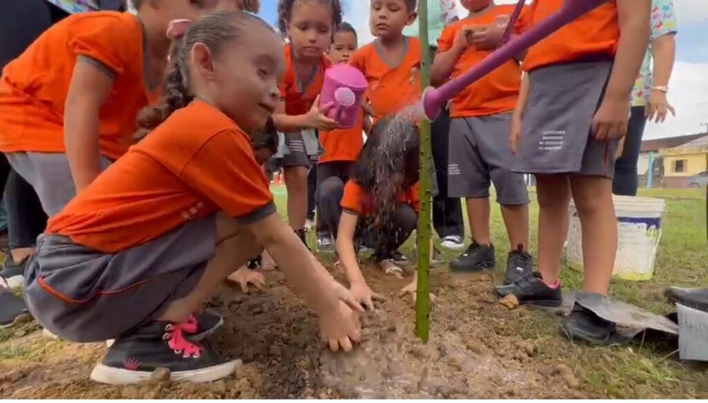 MARIO BARILA - Alunos da escola do Pará participam do plantio de sumauma