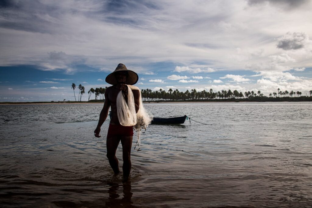 MARIO BARILA - Exposicao Brasil Vivo