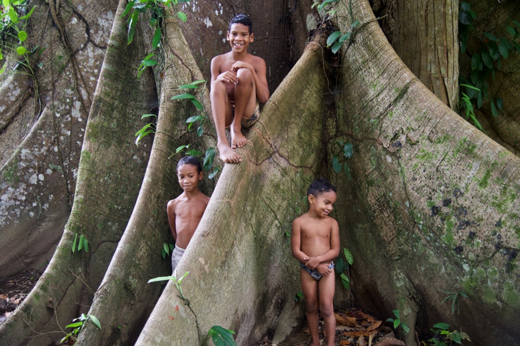 MARIO BARILA Sumauma da Amazonia - Crianças indigenas brincam na arvore
