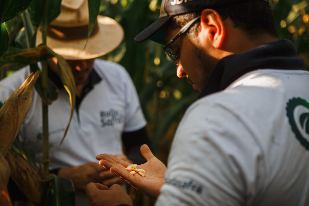 Técnicos do Rally da Safra avaliam lavoura de milho
Eduardo Monteiro/Rally da Safra