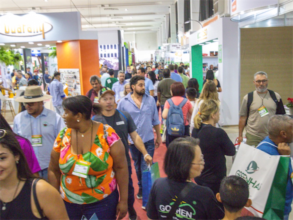 Créditos da foto: Divulgação