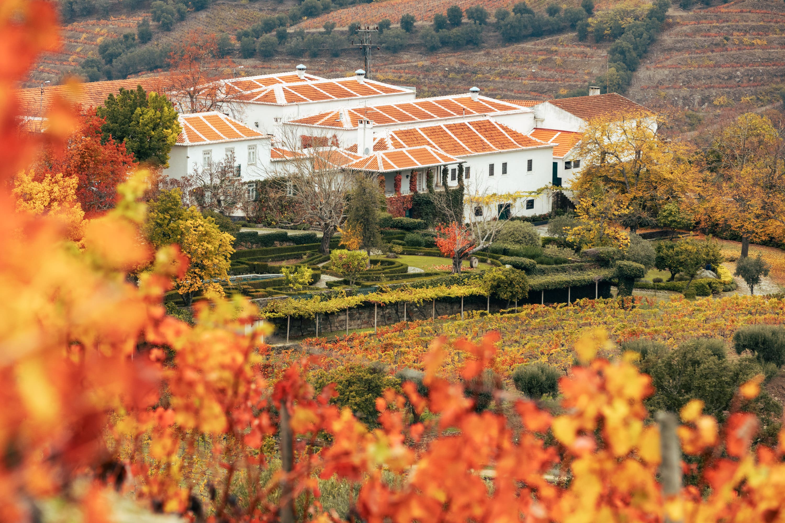 CEO Jorge Rosas participa das edições em São Paulo e Rio de Janeiro - Crédito da foto: Divulgação