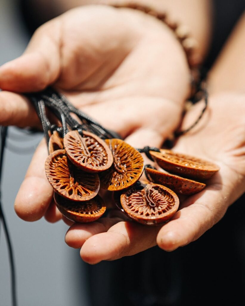 Sementes em beneficiamento---Creditos-Instagram-Sapopema