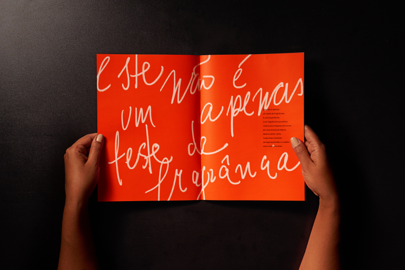 Crédito da foto: Divulgação