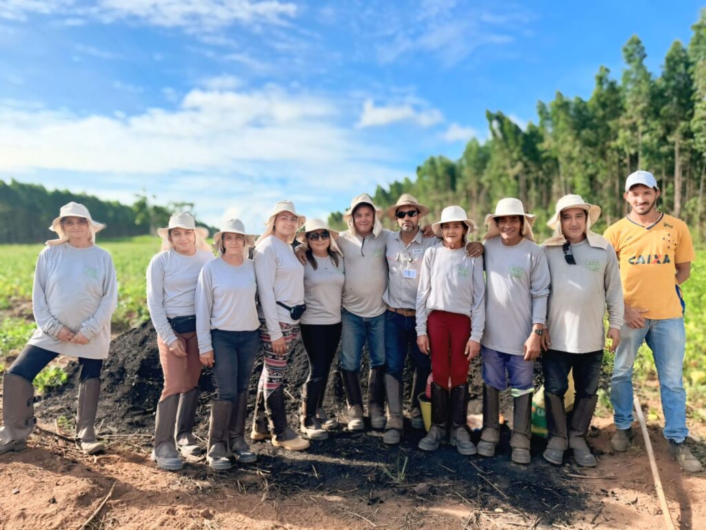 Famílias do Vale do Jequitinhonha receberam apoio técnico da Aperam BioEnergia para realizar o cultivo
Divulgação/Aperam BioEnergia
