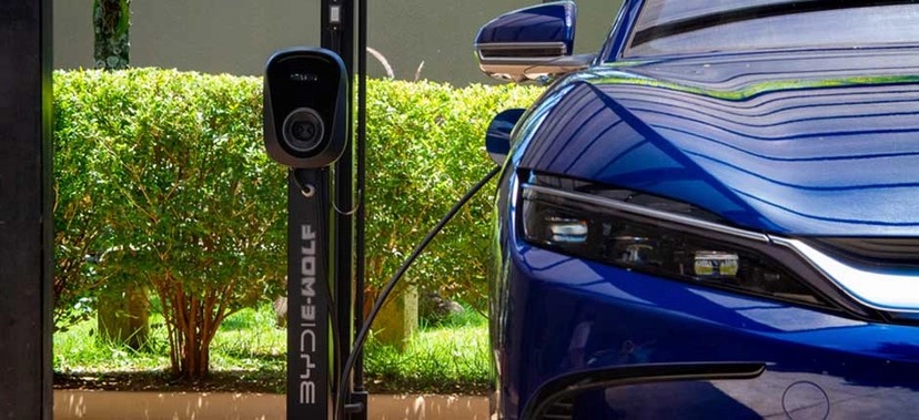 Crédito da foto: Divulgação