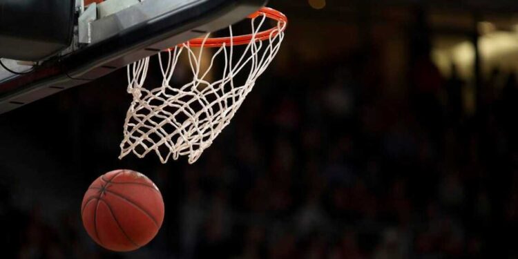 Crédito da foto: Divulgação