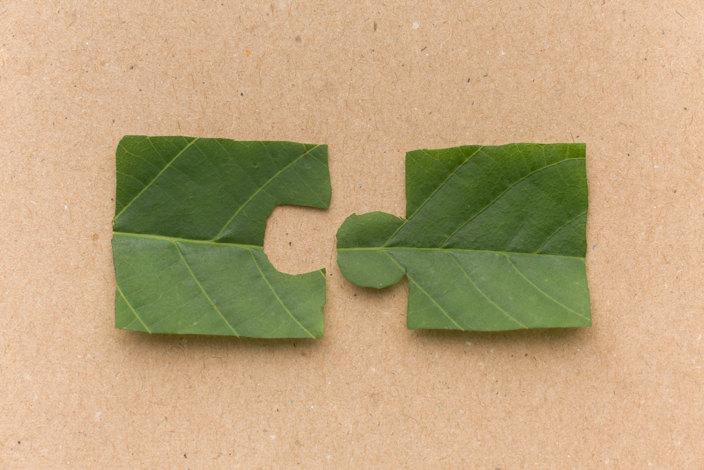 Crédito da foto: Divulgação