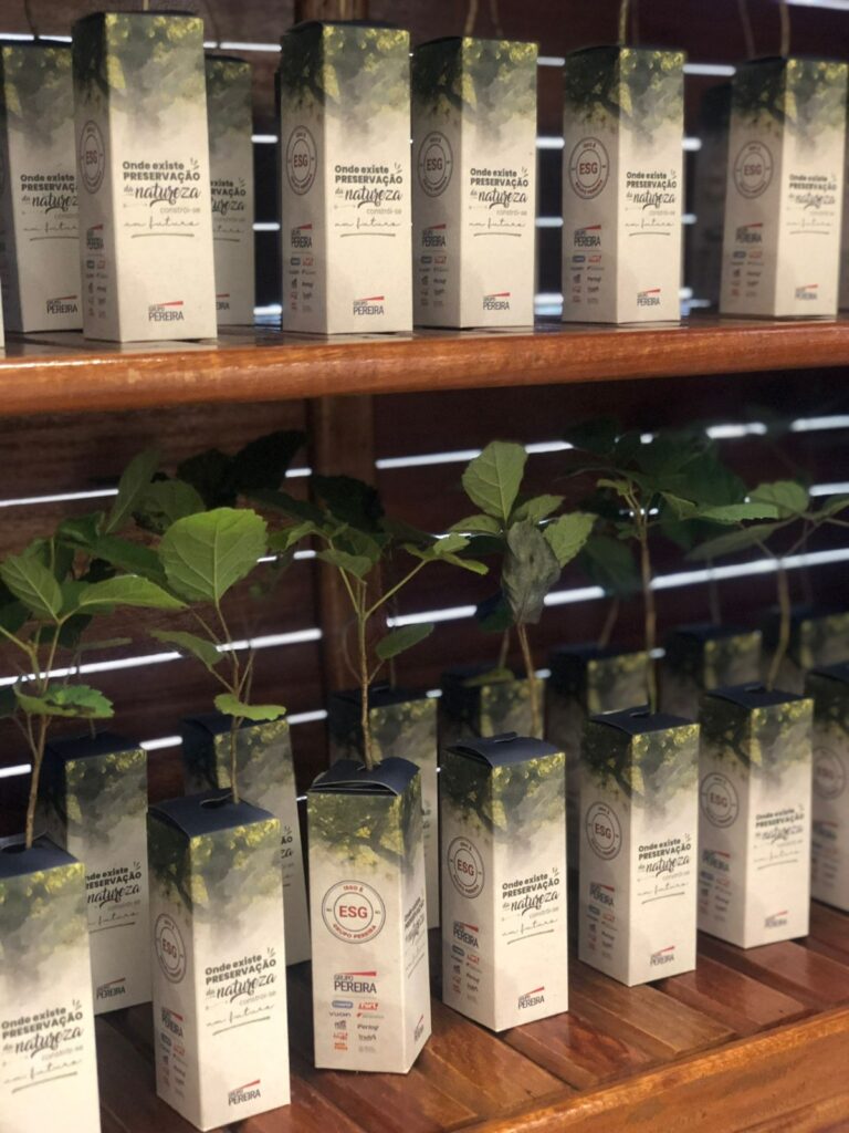 Créditos da foto: Divulgação