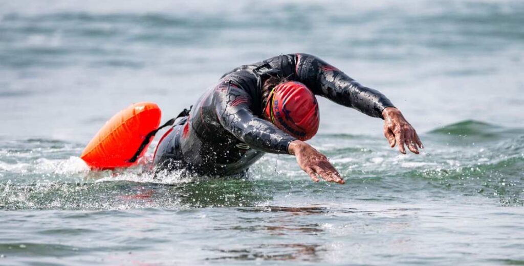 Créditos da foto: Divulgação