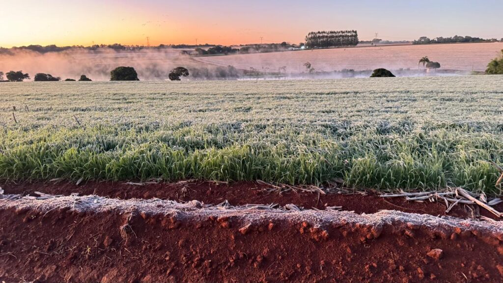 Créditos da foto: Divulgação