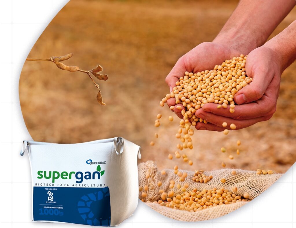 Divulgação Superbac