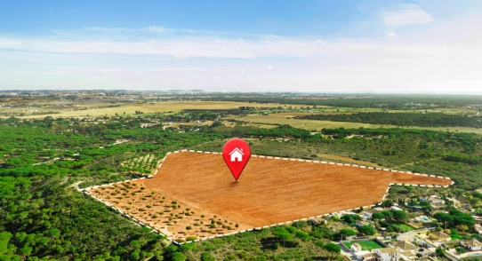 Créditos da foto: Divulgação