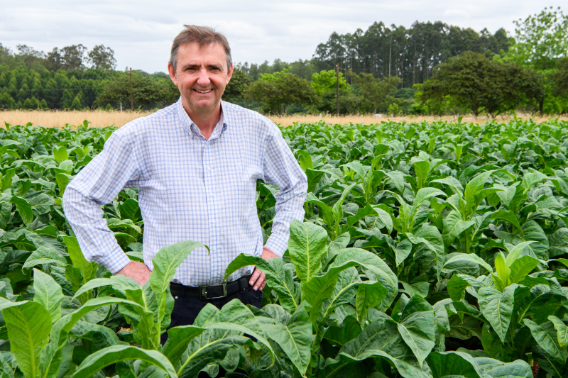 Junio Nunes
Valmor Thesing, presidente do SindiTabaco