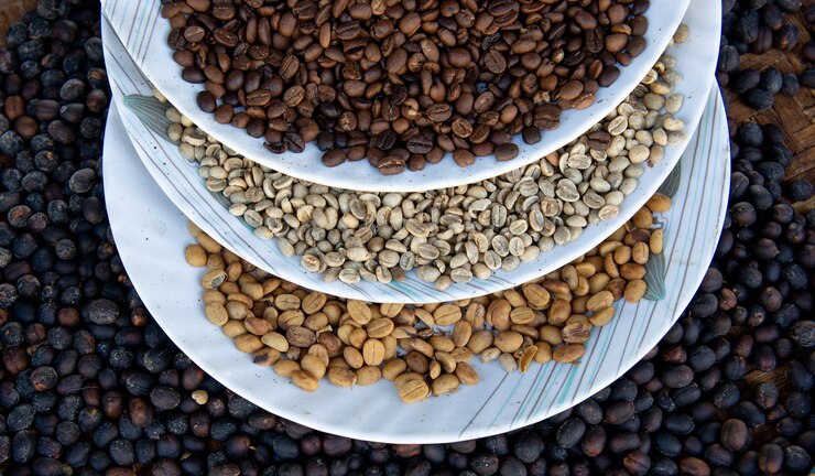 Freepik - Divulgação