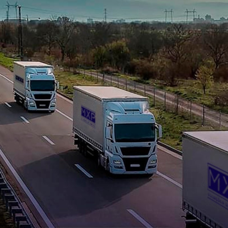 MXP Transportes