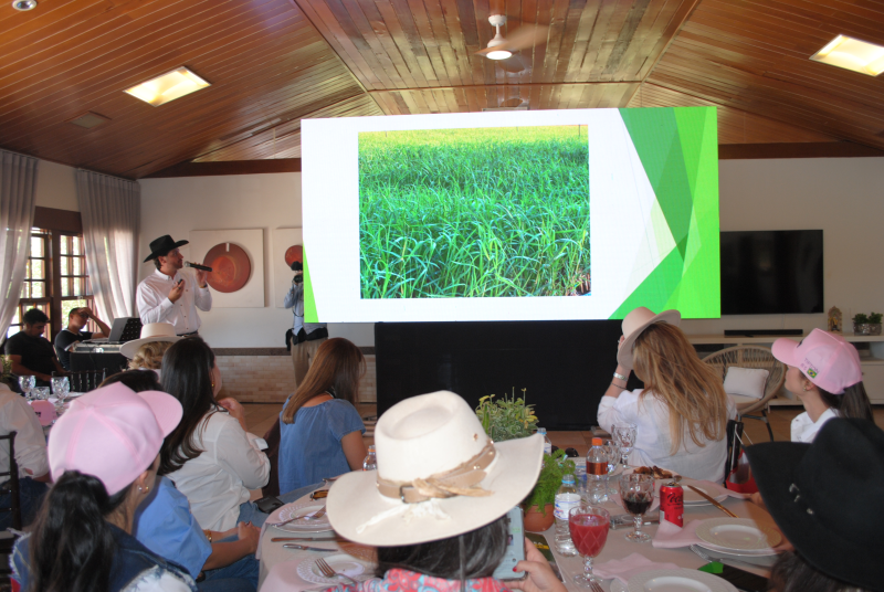 Oswaldo Stival Neto, pecuarista e presidente da Amazon Mudas apresenta o Tifton 85
Divulgação