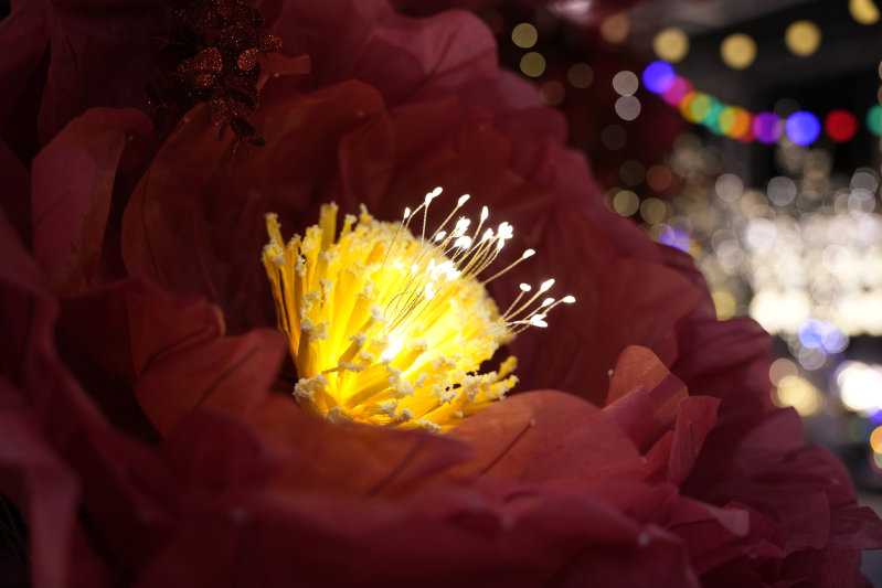 Divulgação: ABCasa Fair 2025