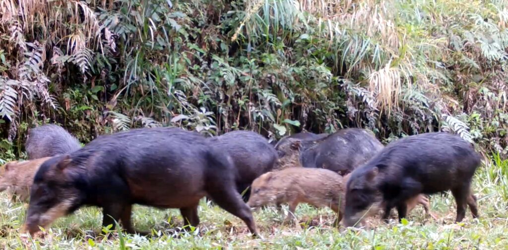 Créditos da foto: Divulgação
