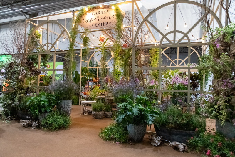 Vitrine de Tendências do 29º Veiling Market
Divulgação - foto fornecida pela CVH