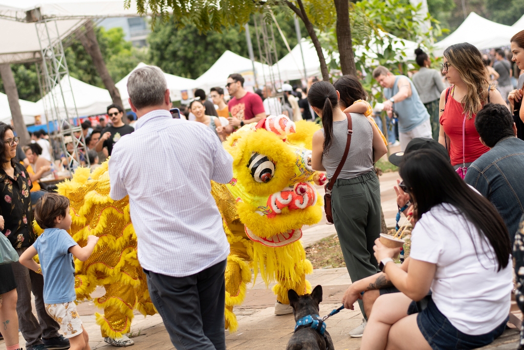 Aurora-1-260 - Dança do Leão do Ano Novo Chines 2