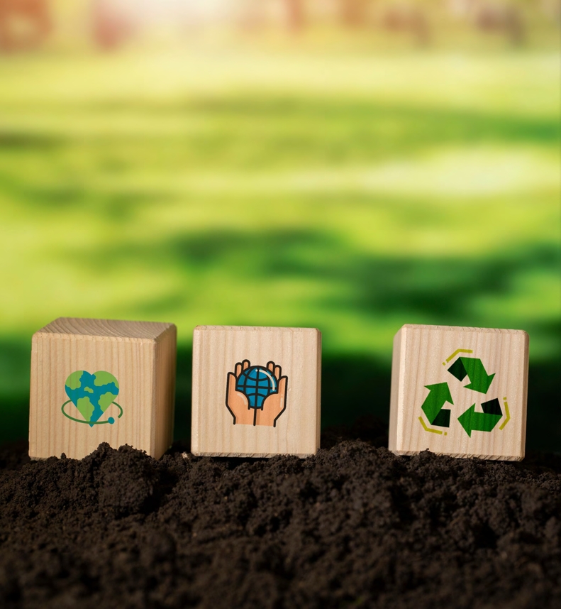 Créditos da foto: Divulgação