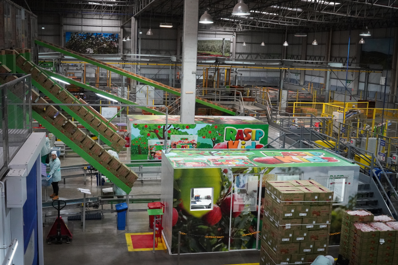 Créditos da foto: Divulgação