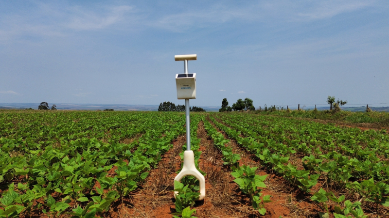 Créditos da foto: Divulgação