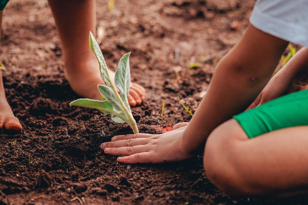Créditos da foto: Divulgação