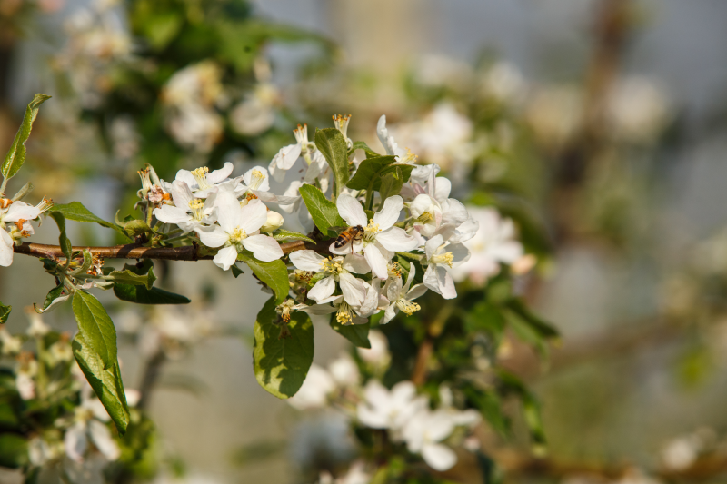 Créditos da foto: Divulgação