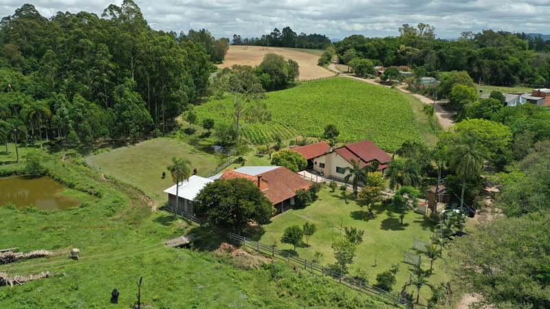 Banco de Imagens
Propriedades produtoras de tabaco