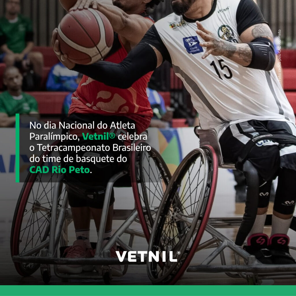 Créditos da foto: Divulgação