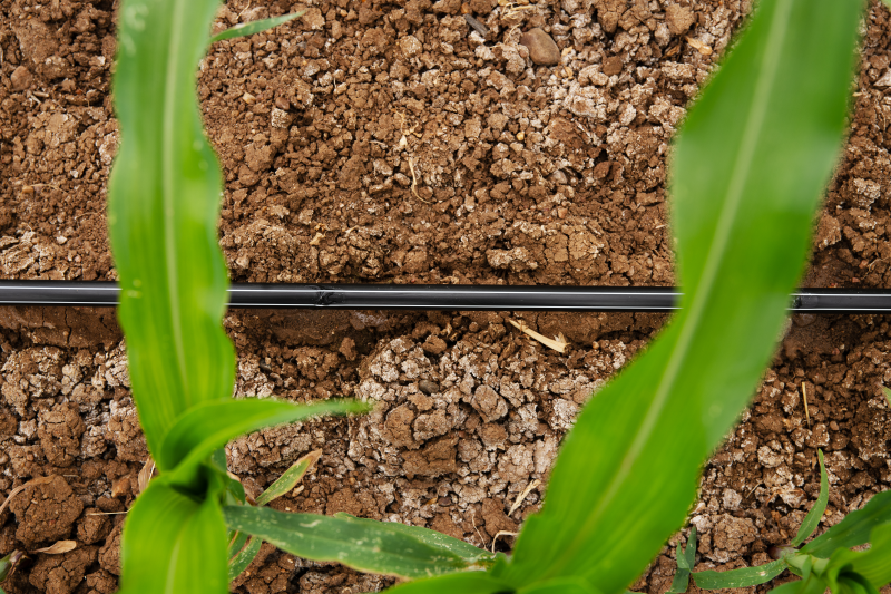 Divulgação Rivulis