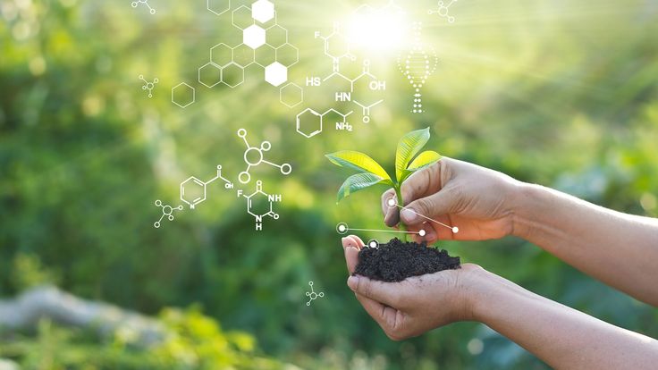 Créditos da foto: Divulgação