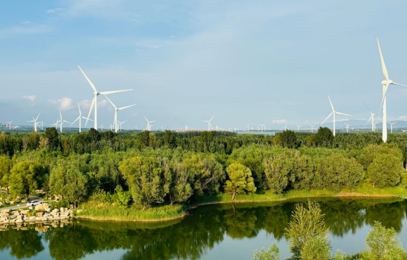 Créditos da foto: Divulgação