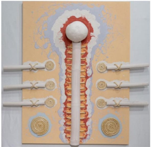 Créditos da Foto: Divulgação