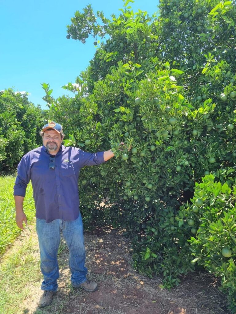 Créditos da foto: Divulgação