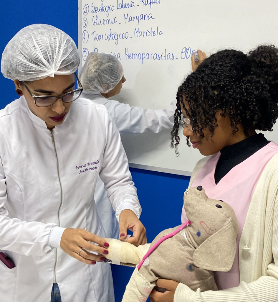 Créditos da foto: Divulgação