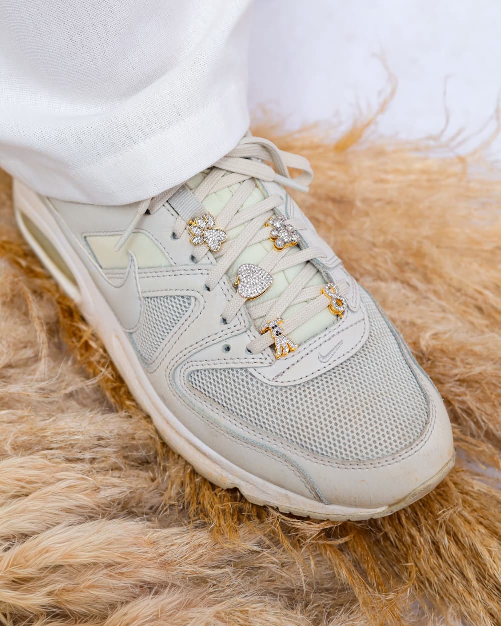 Créditos da Foto: Divulgação