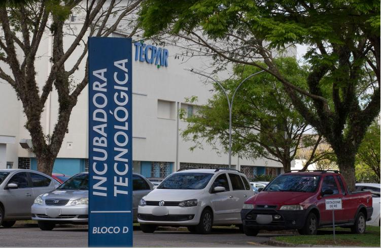 Créditos da foto: Divulgação