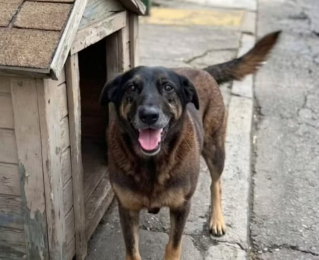 Créditos da Foto: Divulgação